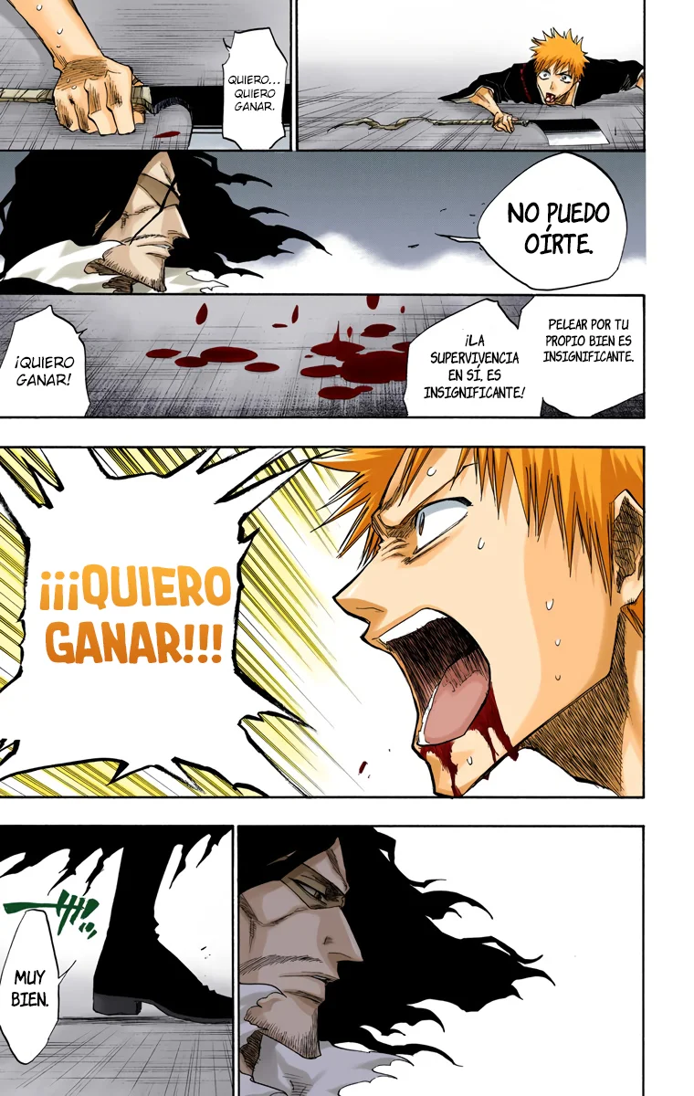 Bleach (Color) capítulo 110, página 10