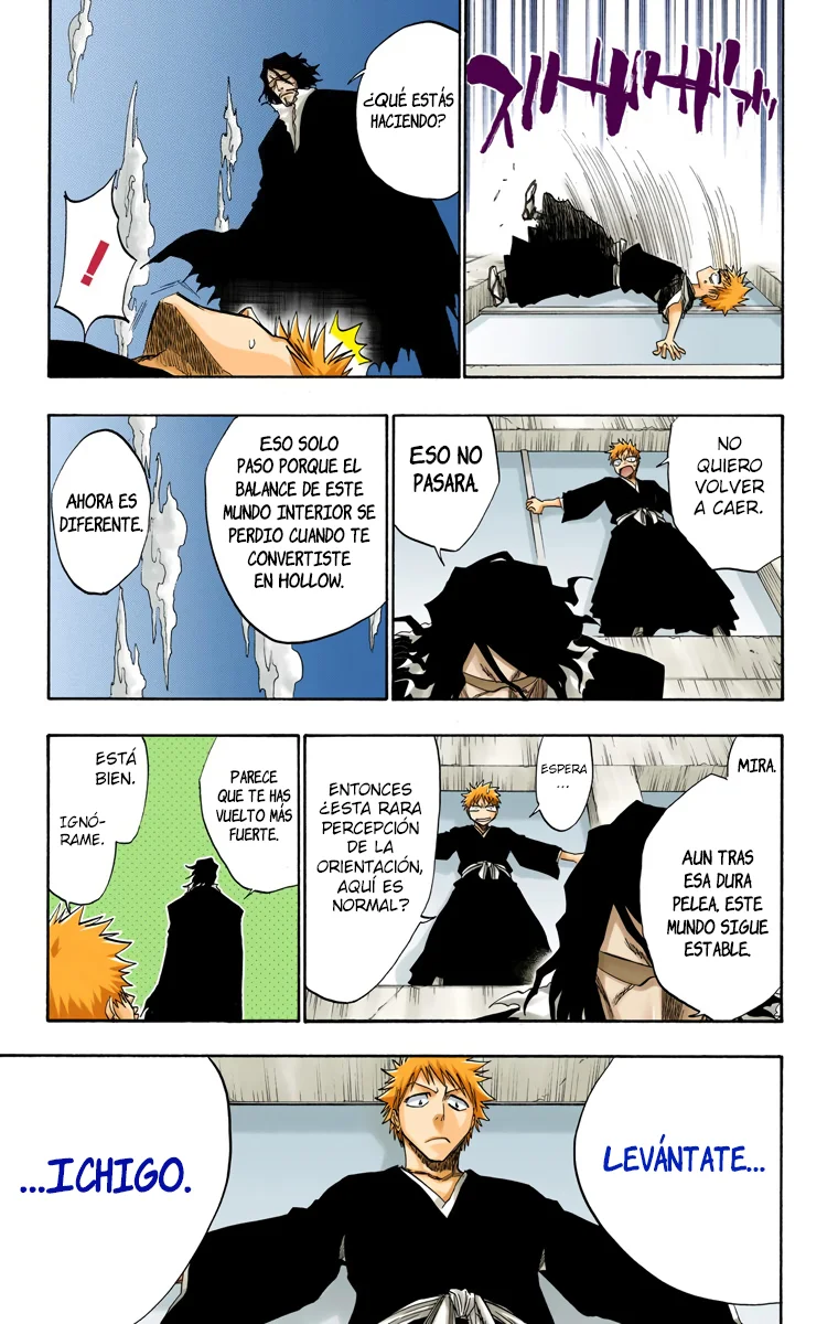 Bleach (Color) capítulo 110, página 14