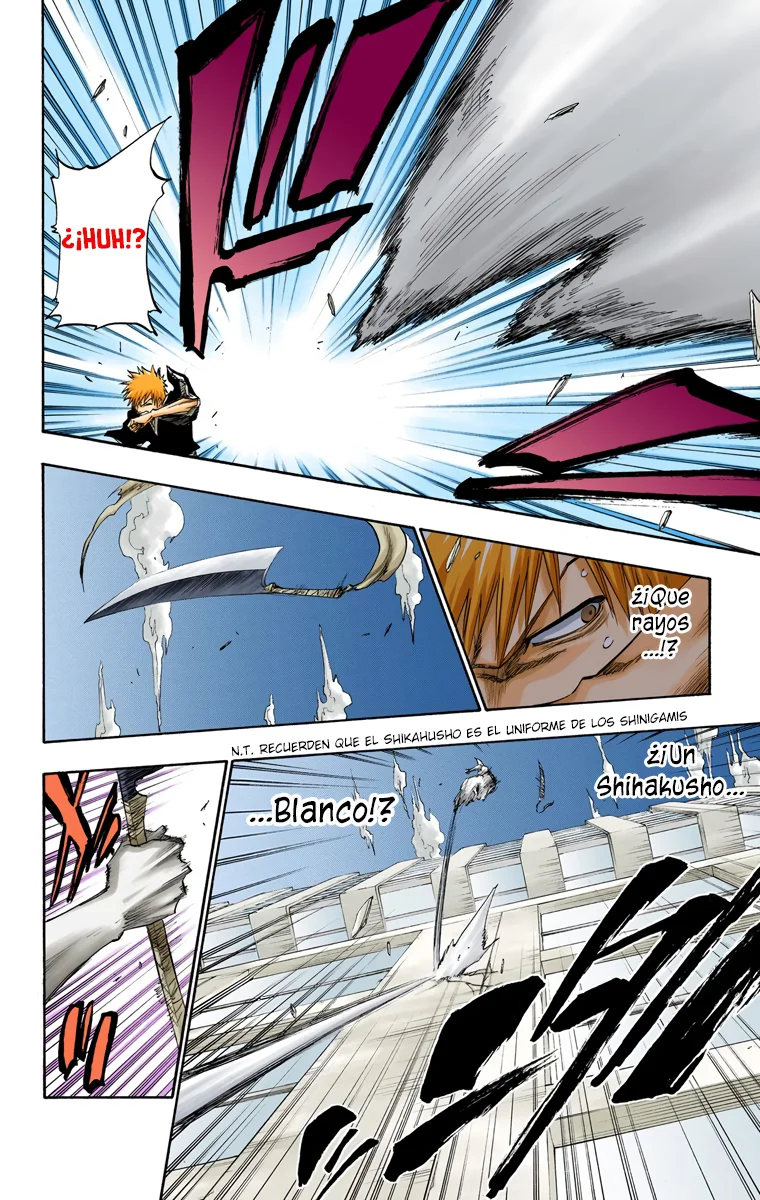 Bleach (Color) capítulo 110, página 17