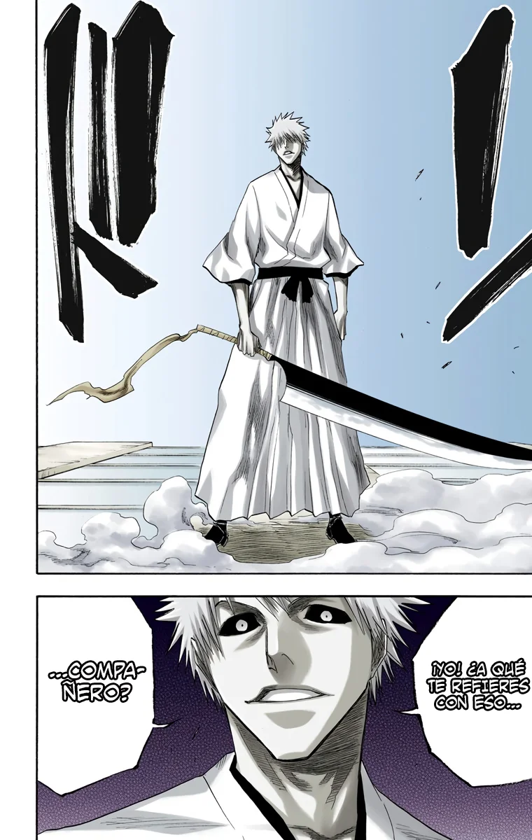 Bleach (Color) capítulo 110, página 19
