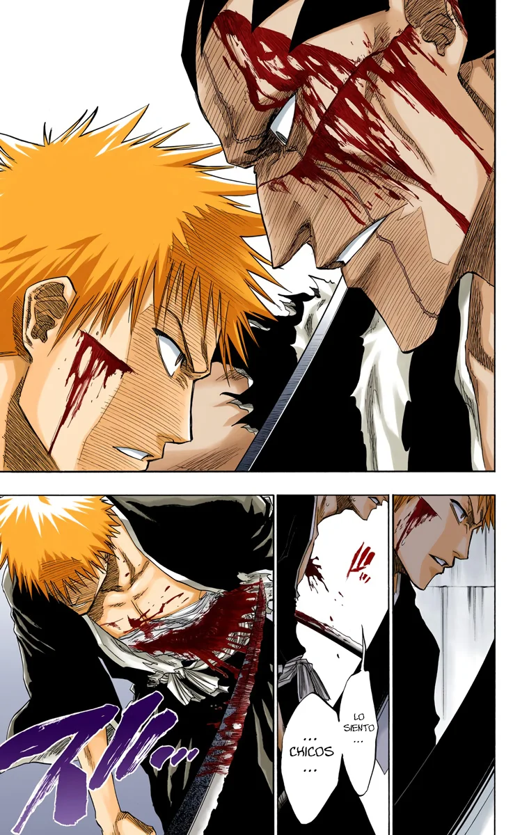 Bleach (Color) capítulo 113, página 17