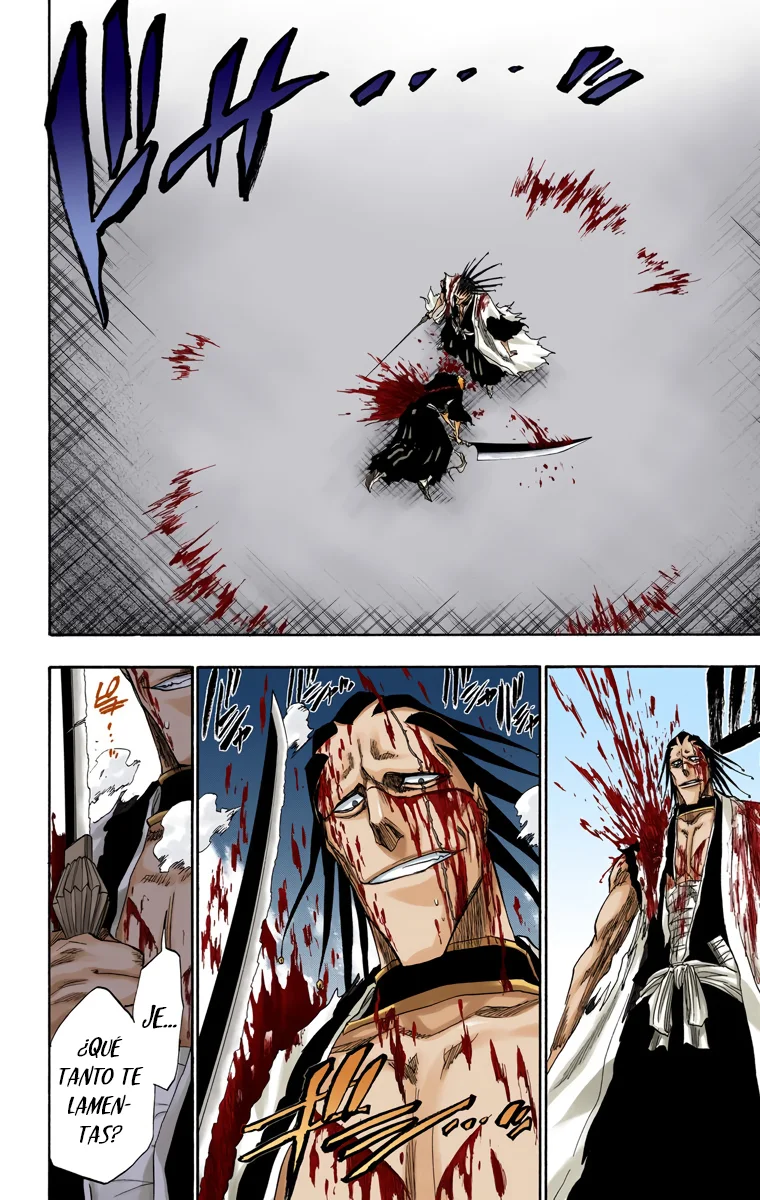 Bleach (Color) capítulo 113, página 18