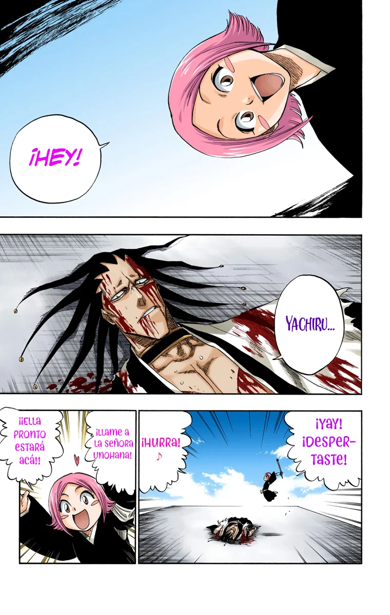 Bleach (Color) capítulo 114, página 8
