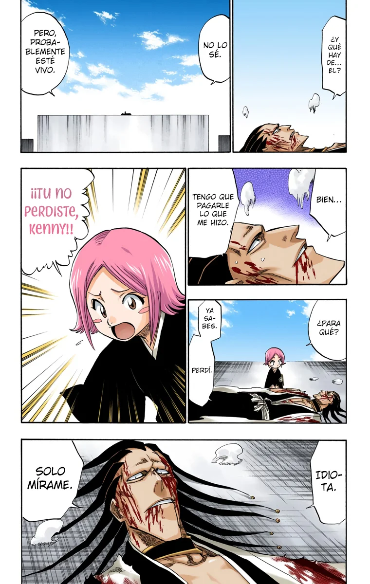 Bleach (Color) capítulo 114, página 9