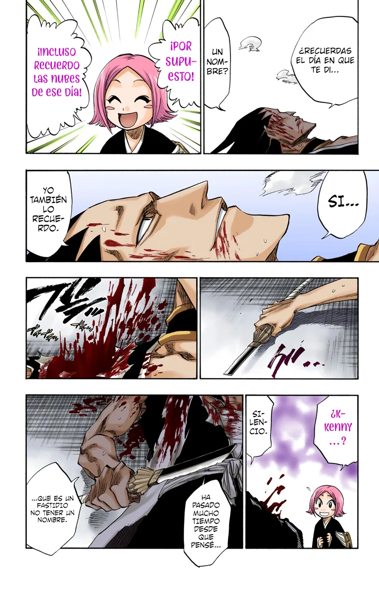 Bleach (Color) capítulo 114, página 11
