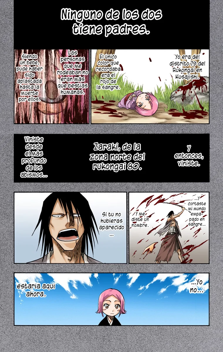 Bleach (Color) capítulo 114, página 16