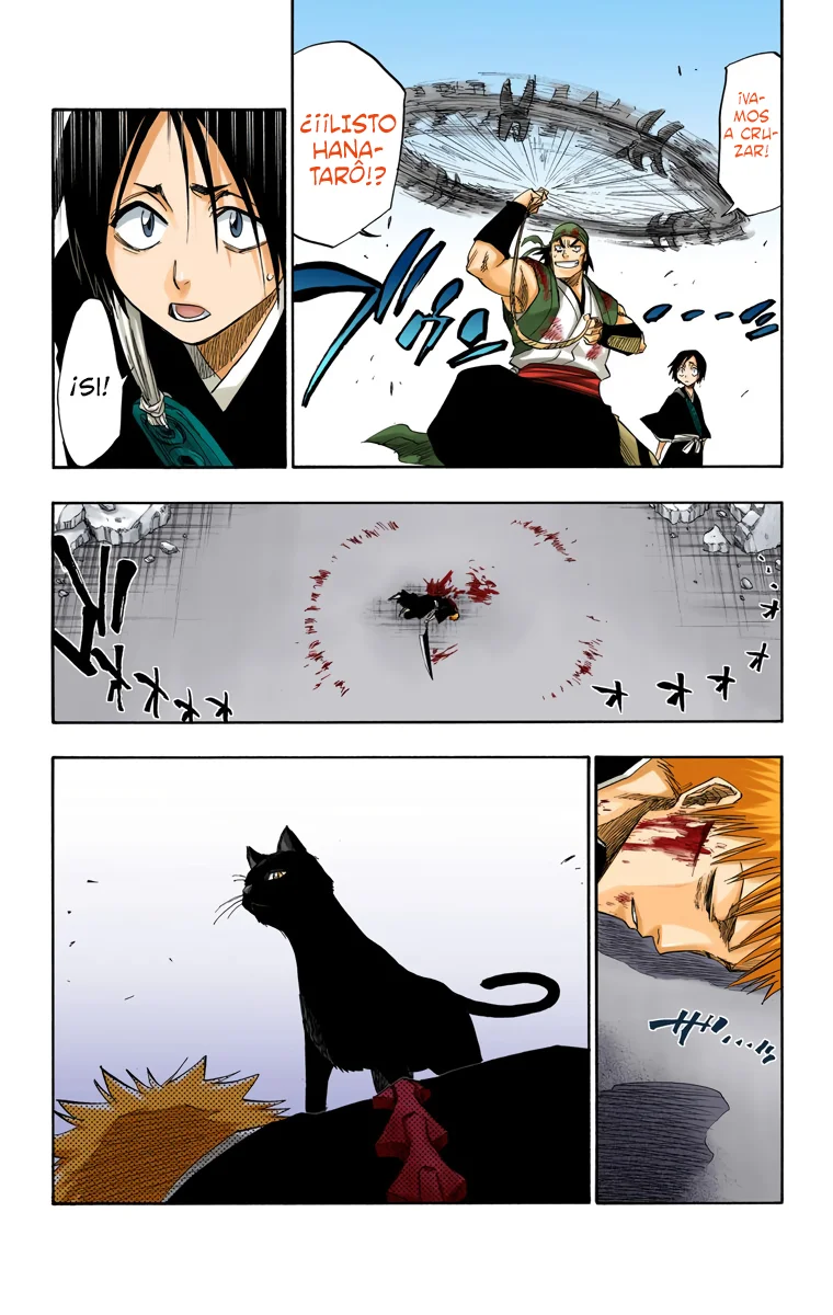 Bleach (Color) capítulo 114, página 20