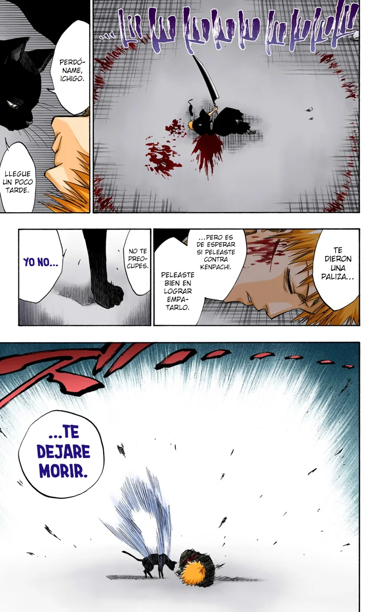 Bleach (Color) capítulo 115, página 4