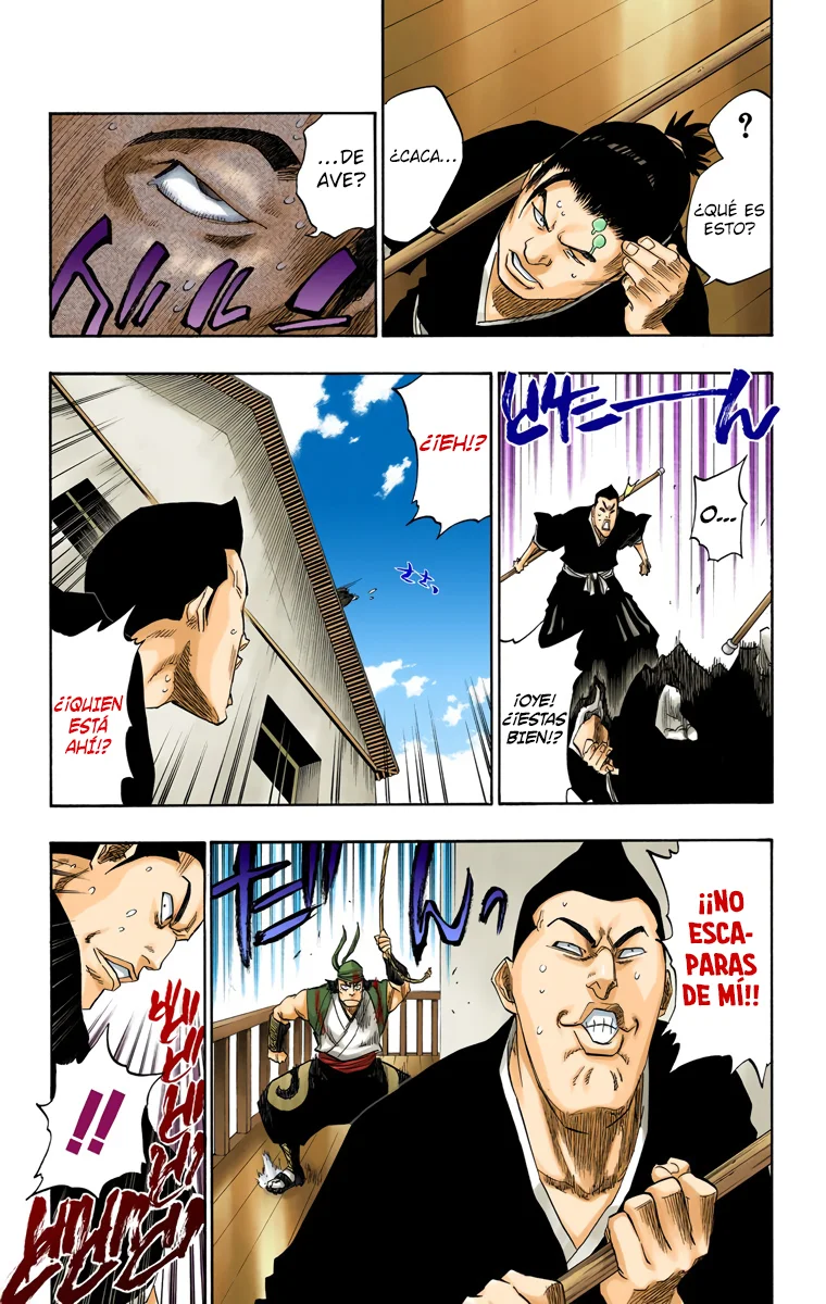 Bleach (Color) capítulo 115, página 6