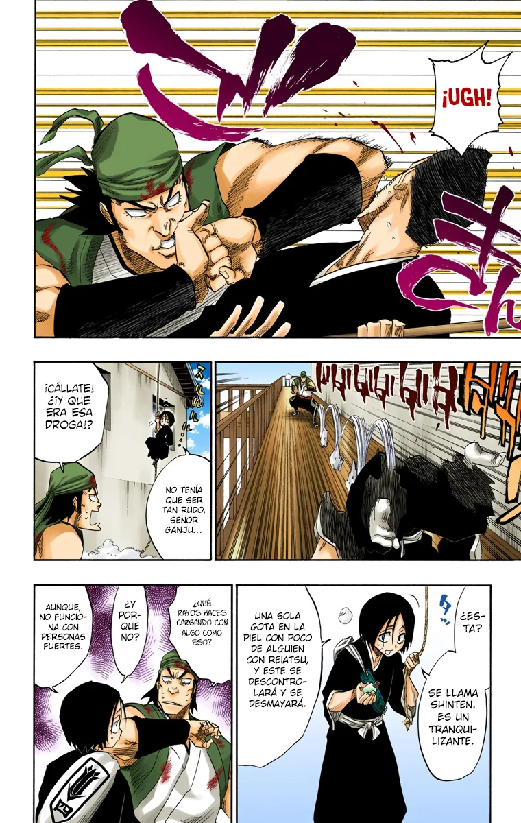 Bleach (Color) capítulo 115, página 7