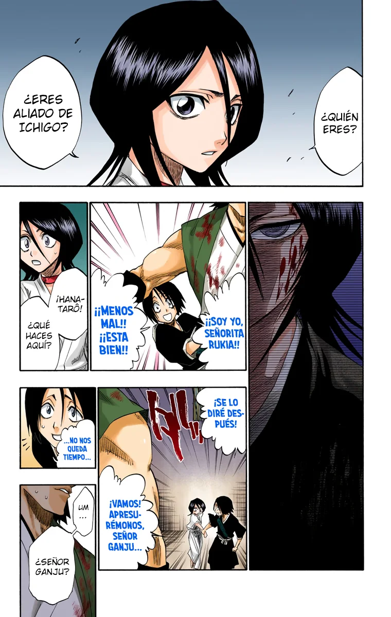 Bleach (Color) capítulo 115, página 12