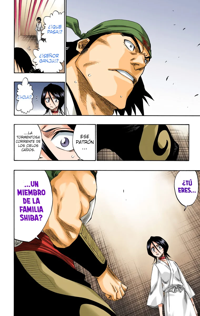 Bleach (Color) capítulo 115, página 13