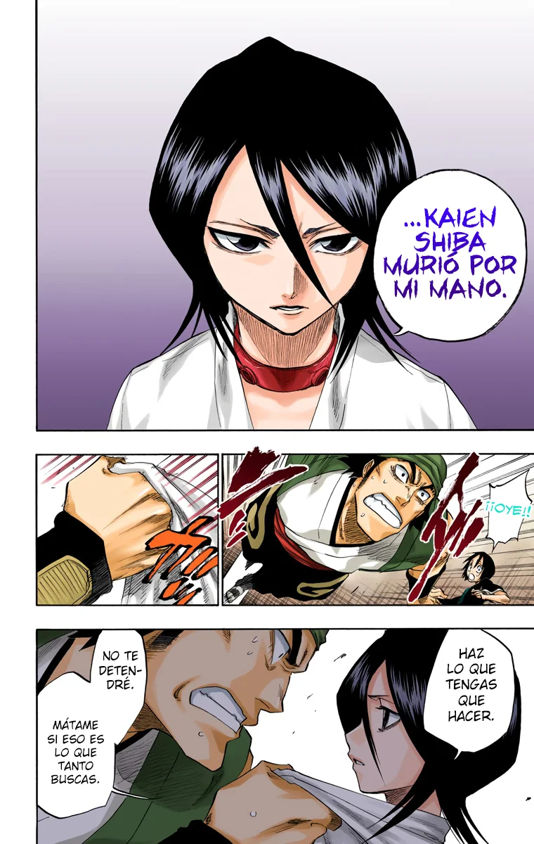 Bleach (Color) capítulo 115, página 17
