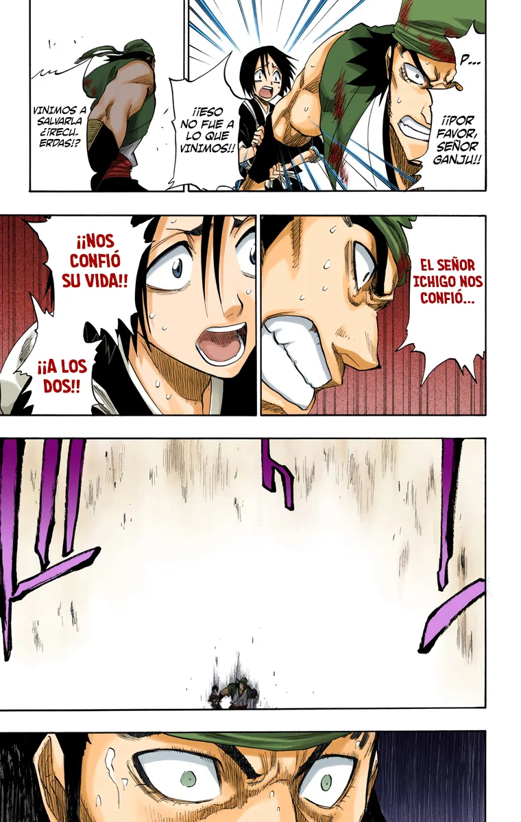 Bleach (Color) capítulo 115, página 18