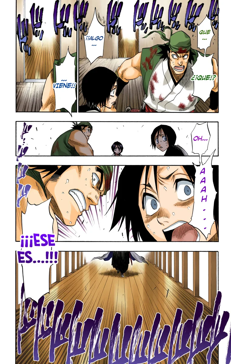 Bleach (Color) capítulo 115, página 19