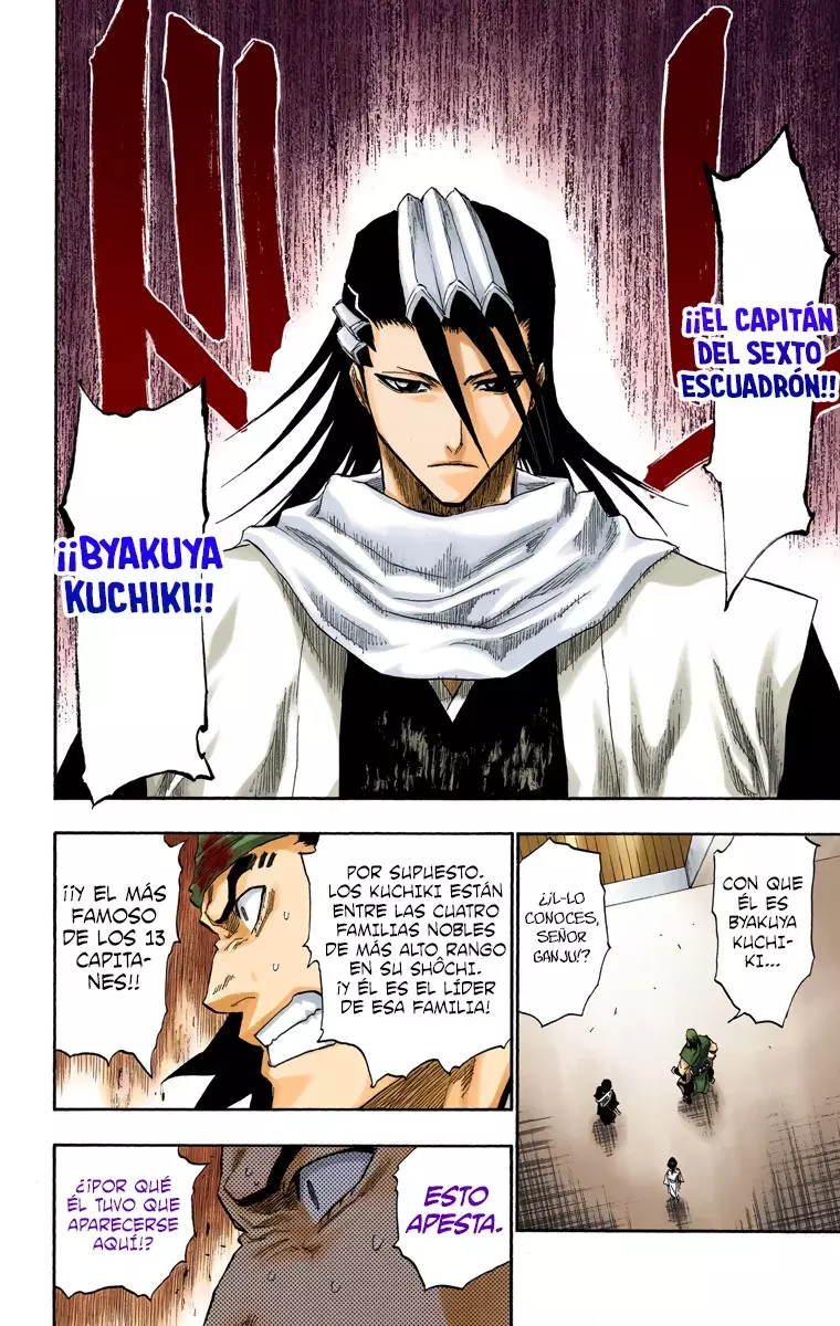 Bleach (Color) capítulo 116, página 10