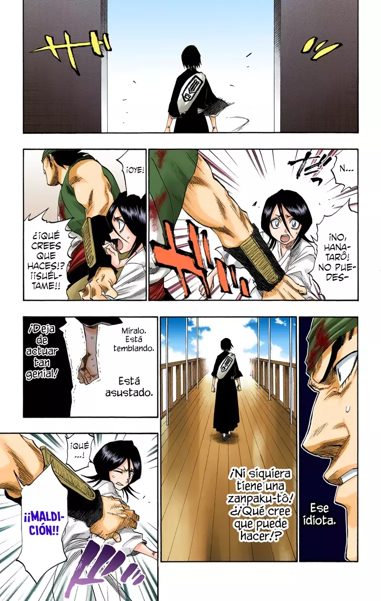 Bleach (Color) capítulo 116, página 15