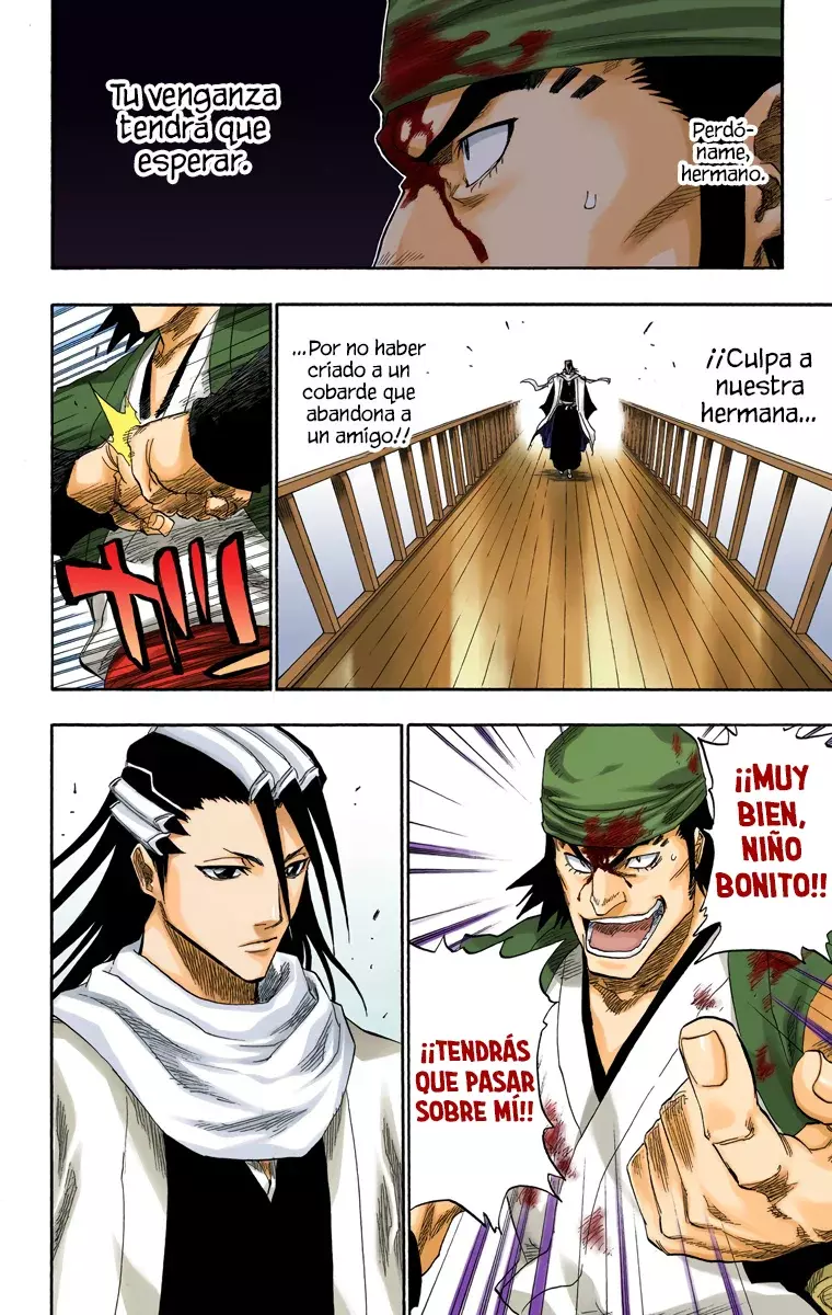 Bleach (Color) capítulo 116, página 18