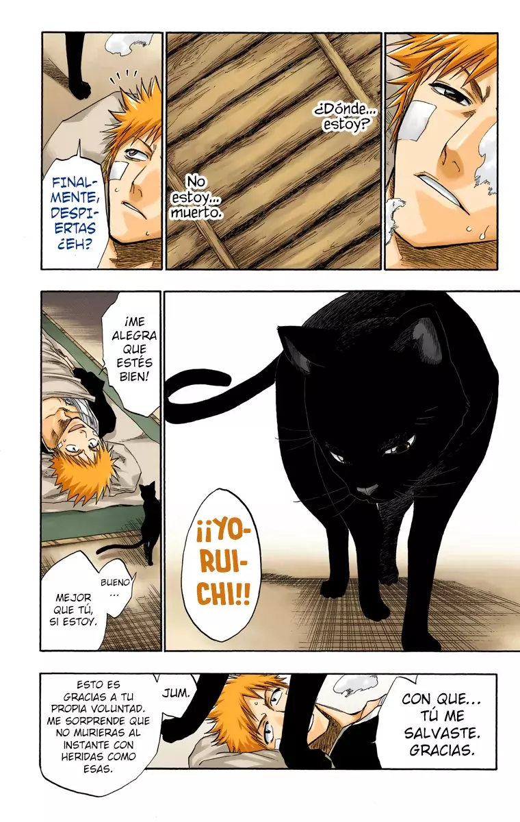 Bleach (Color) capítulo 116, página 20