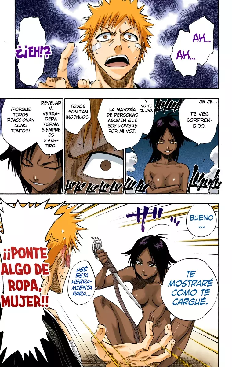 Bleach (Color) capítulo 116, página 27