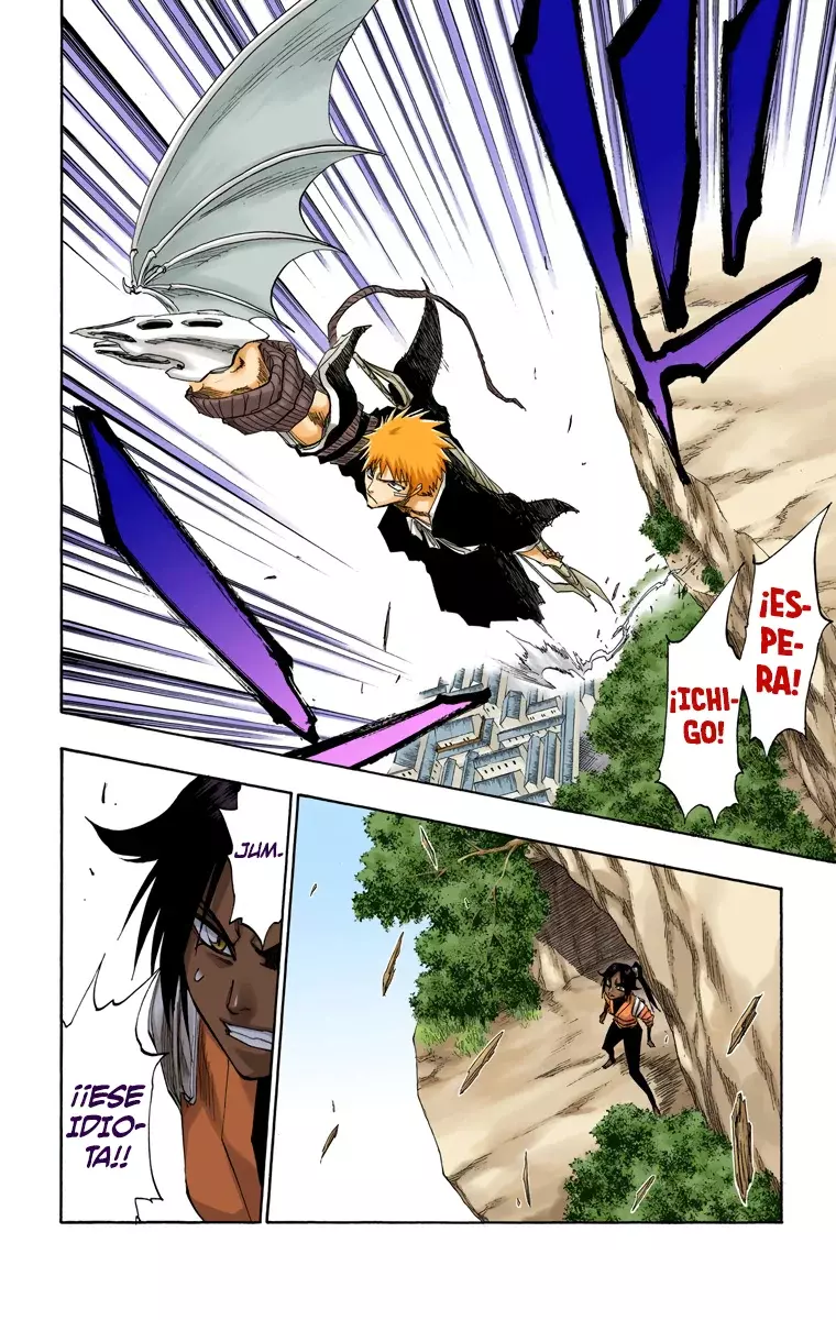 Bleach (Color) capítulo 116, página 32