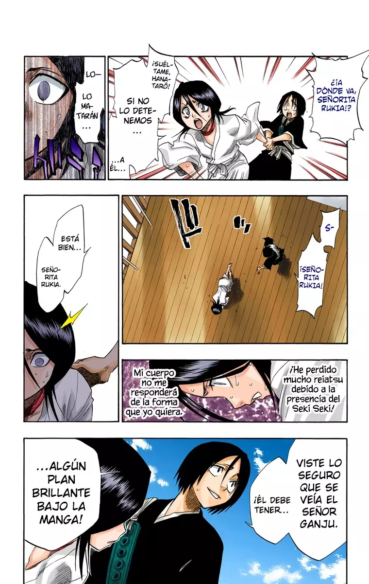 Bleach (Color) capítulo 116, página 34