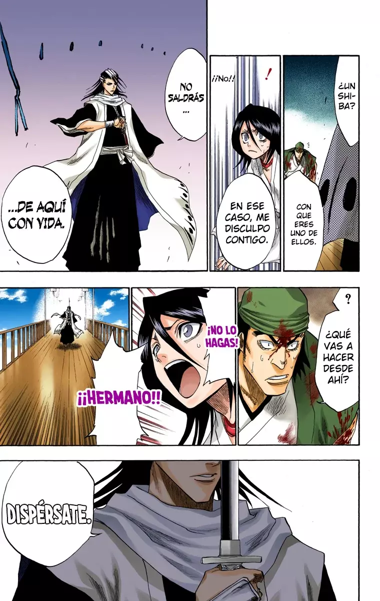 Bleach (Color) capítulo 116, página 39