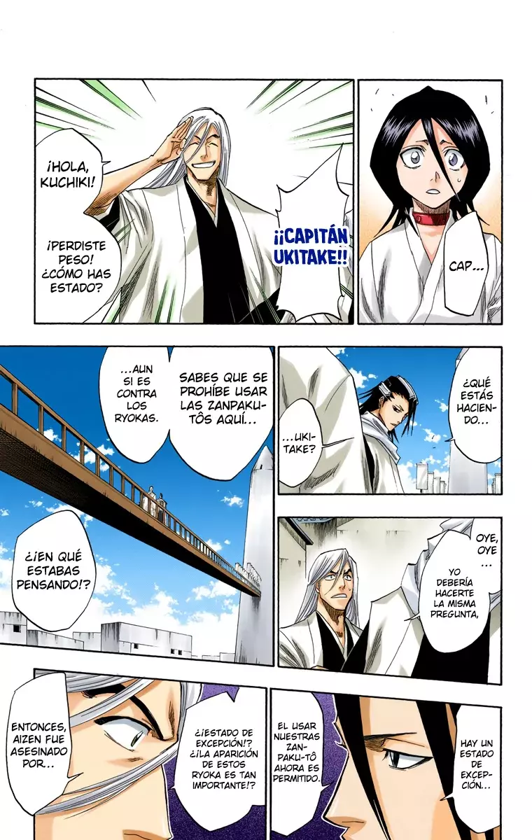 Bleach (Color) capítulo 116, página 45