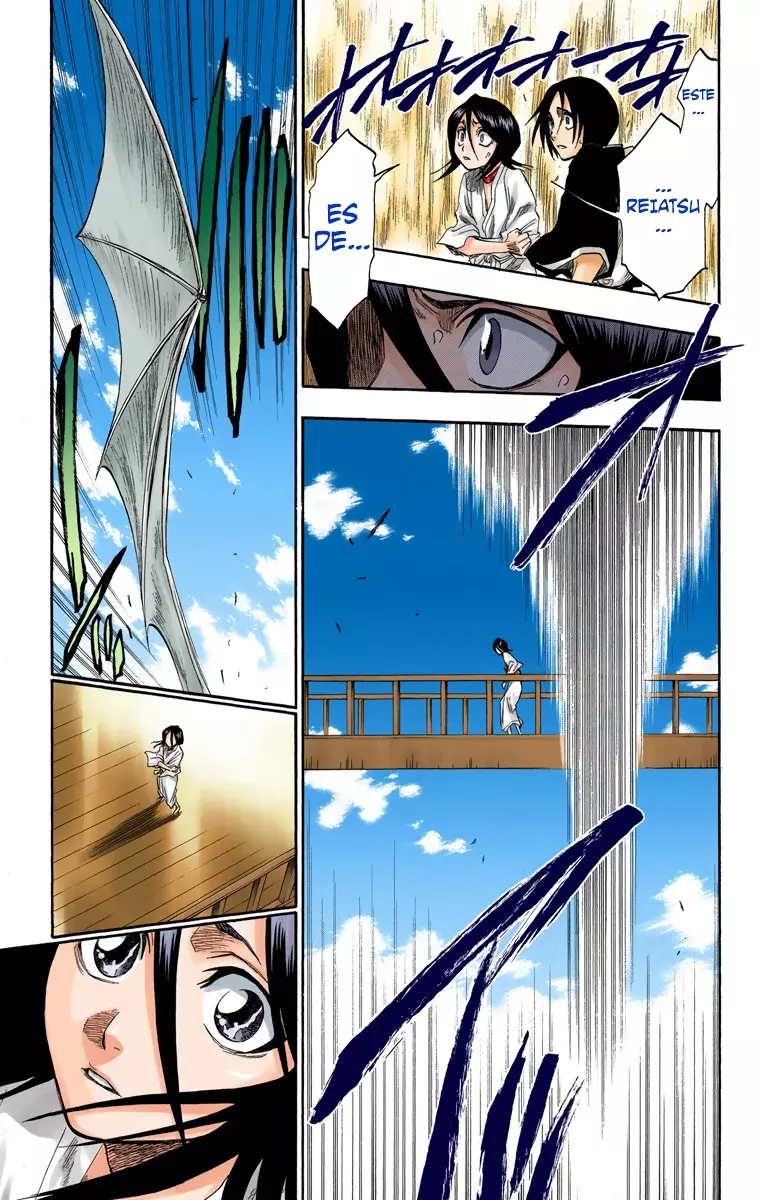 Bleach (Color) capítulo 116, página 47