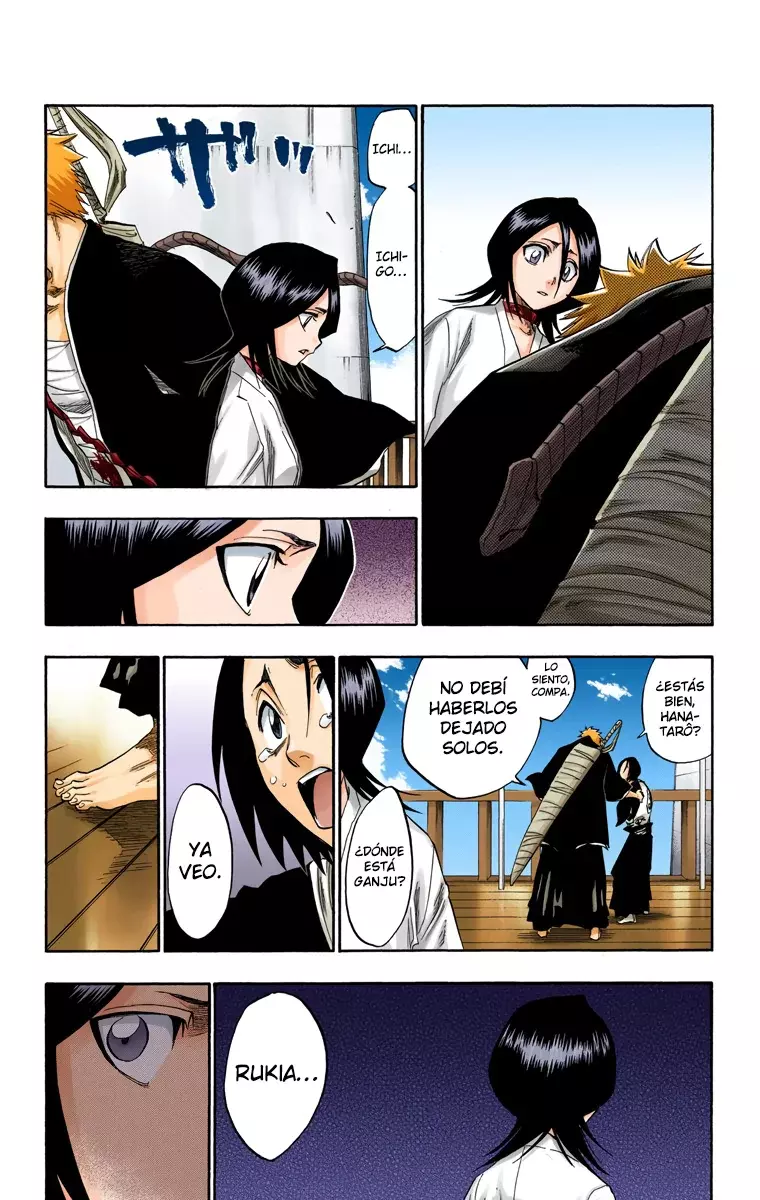 Bleach (Color) capítulo 116, página 50