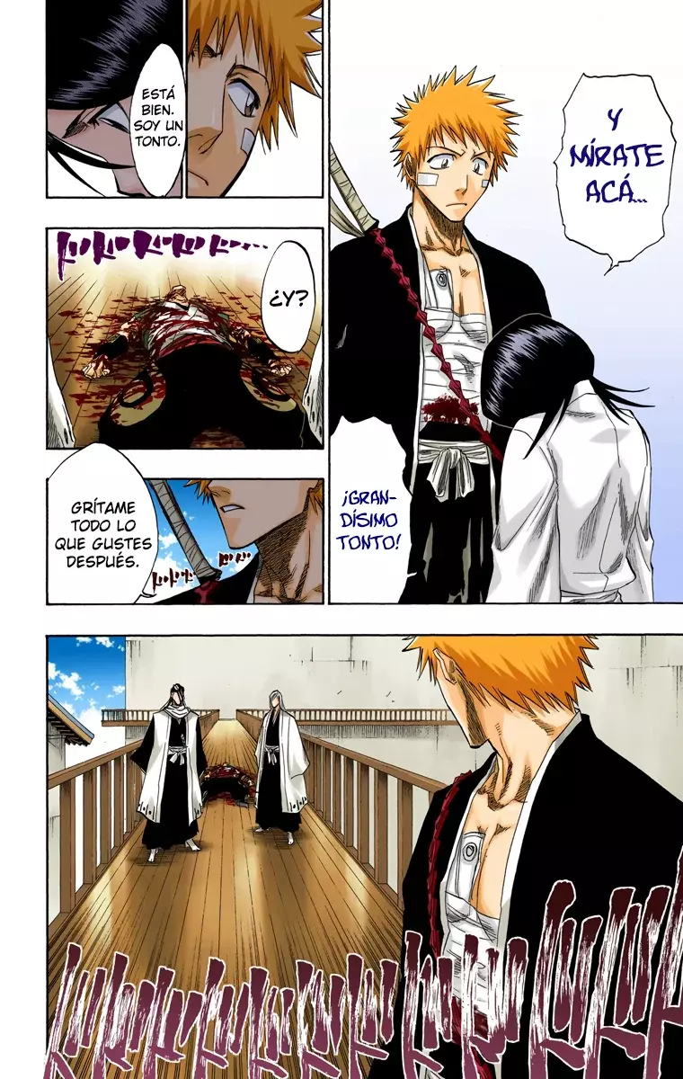 Bleach (Color) capítulo 116, página 53