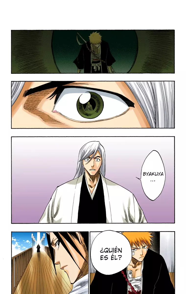 Bleach (Color) capítulo 117, página 6