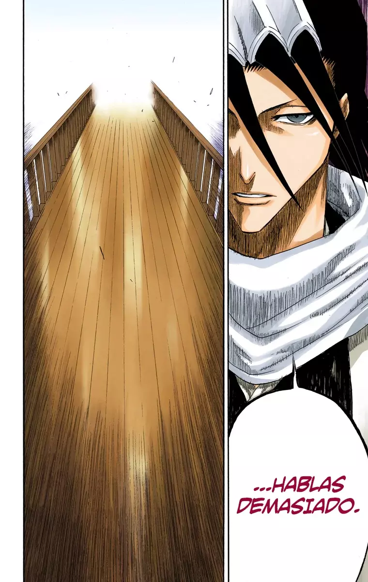Bleach (Color) capítulo 117, página 13