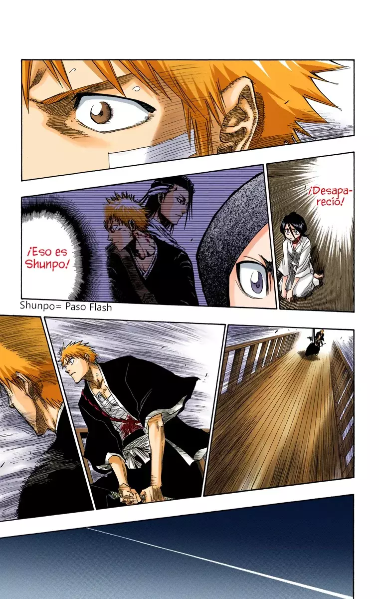 Bleach (Color) capítulo 117, página 14
