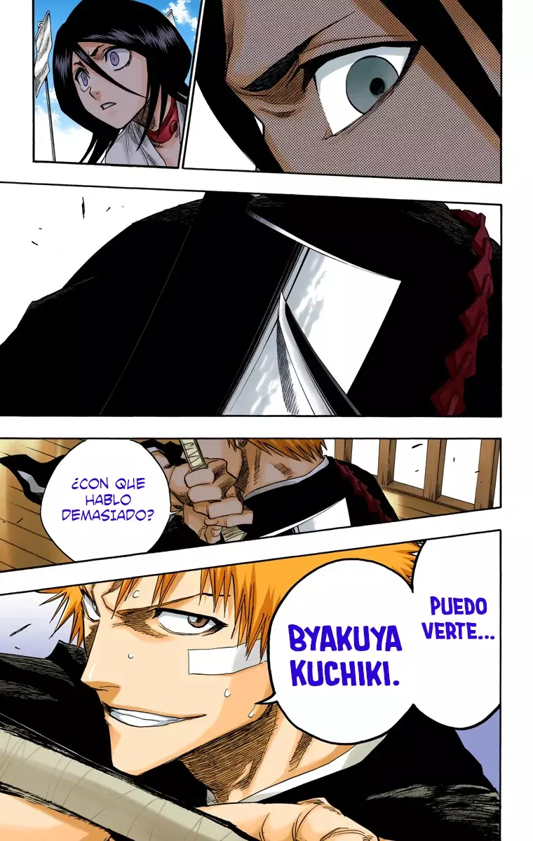Bleach (Color) capítulo 117, página 16