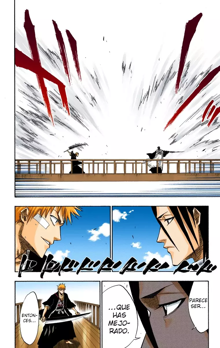 Bleach (Color) capítulo 117, página 17
