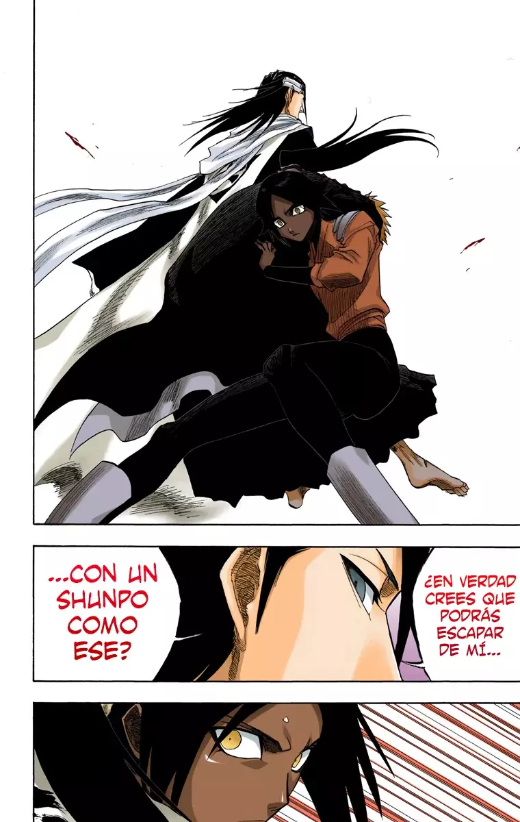 Bleach (Color) capítulo 118, página 17