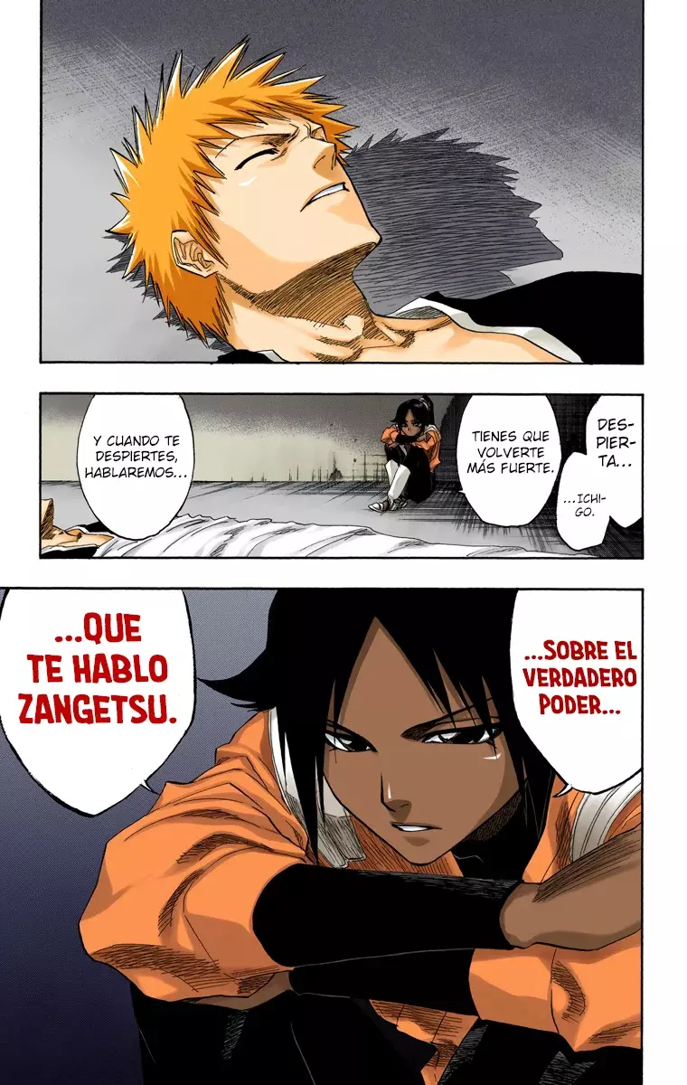 Bleach (Color) capítulo 119, página 21