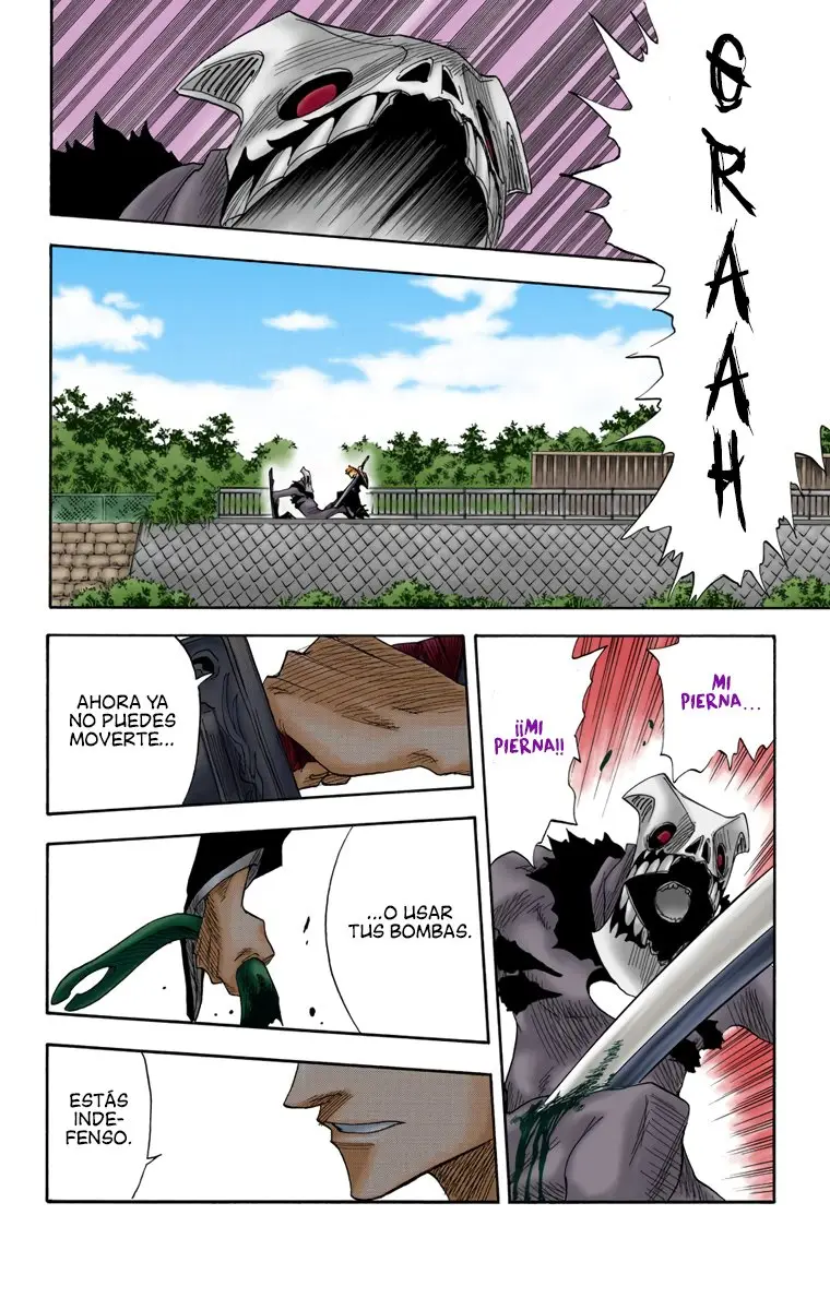 Bleach (Color) capítulo 12, página 4