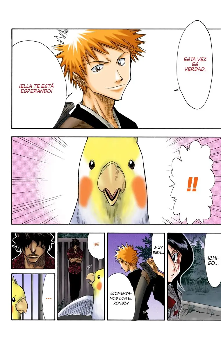 Bleach (Color) capítulo 12, página 15
