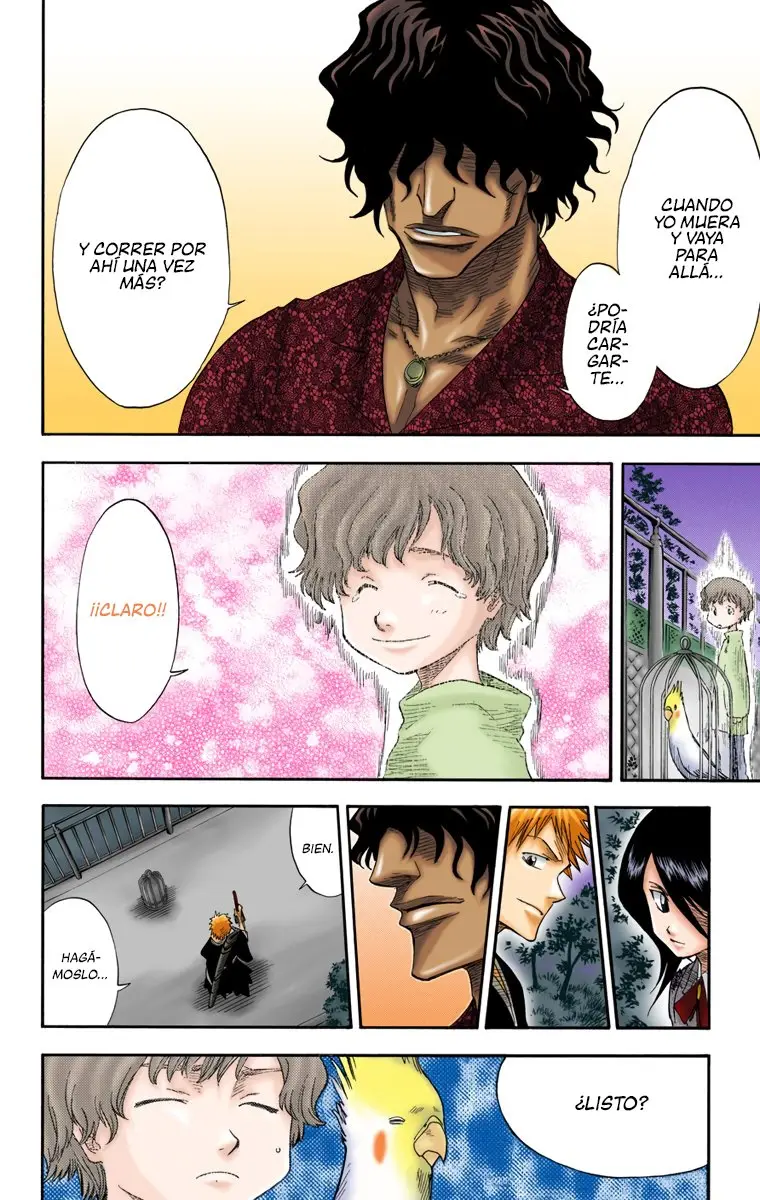 Bleach (Color) capítulo 12, página 17