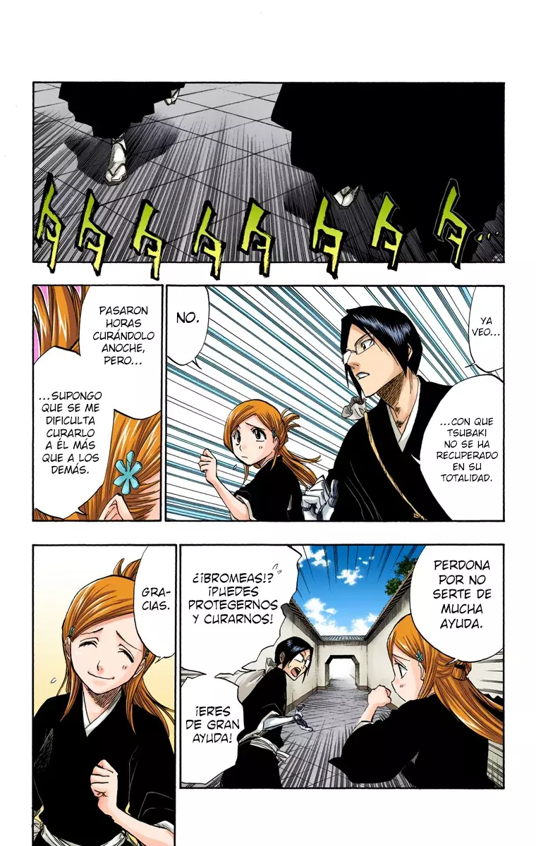 Bleach (Color) capítulo 120, página 13