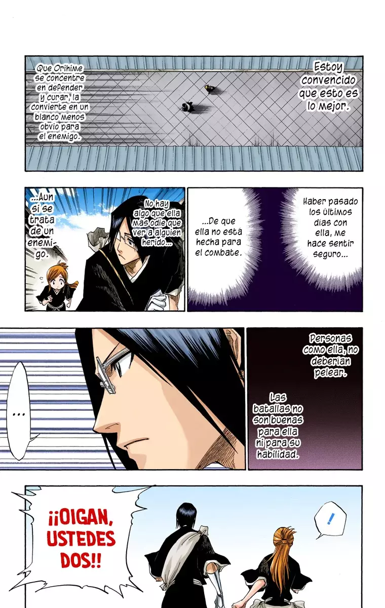 Bleach (Color) capítulo 120, página 14
