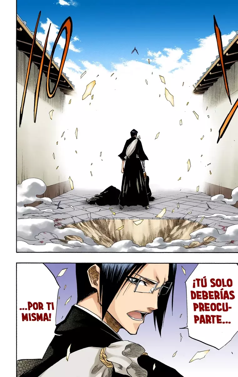 Bleach (Color) capítulo 121, página 9