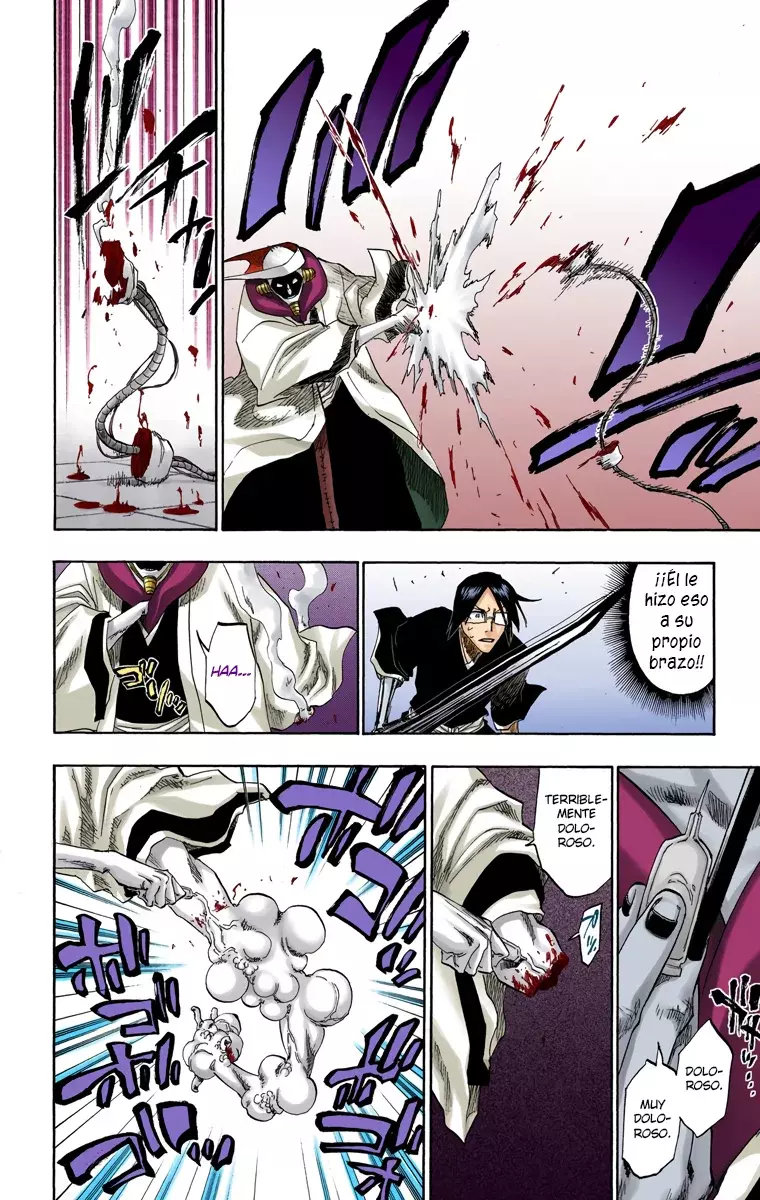 Bleach (Color) capítulo 122, página 5