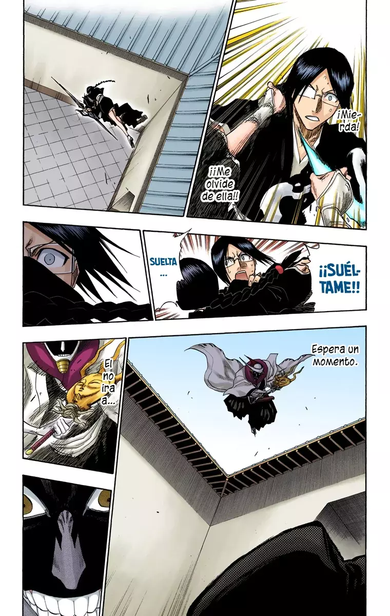 Bleach (Color) capítulo 122, página 16