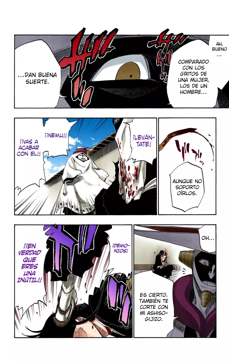 Bleach (Color) capítulo 123, página 13