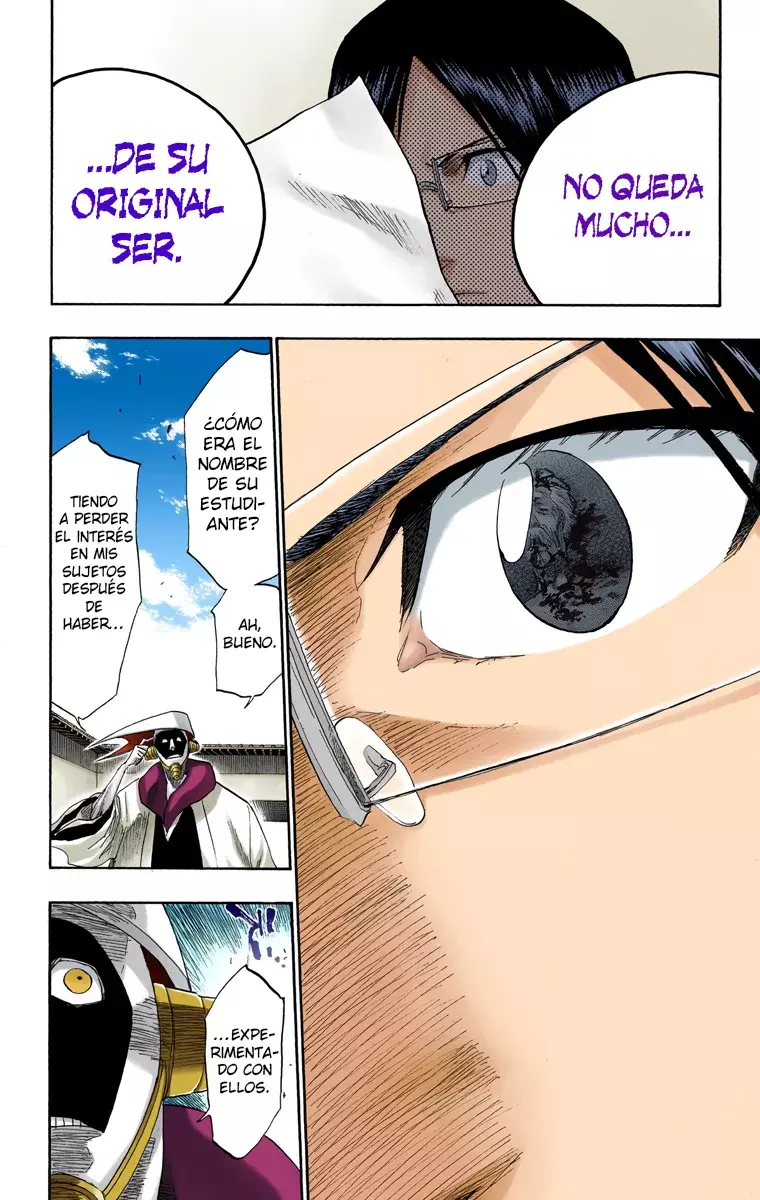 Bleach (Color) capítulo 123, página 17