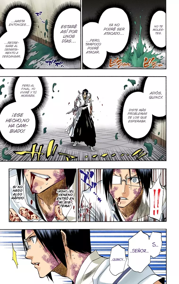 Bleach (Color) capítulo 126, página 8