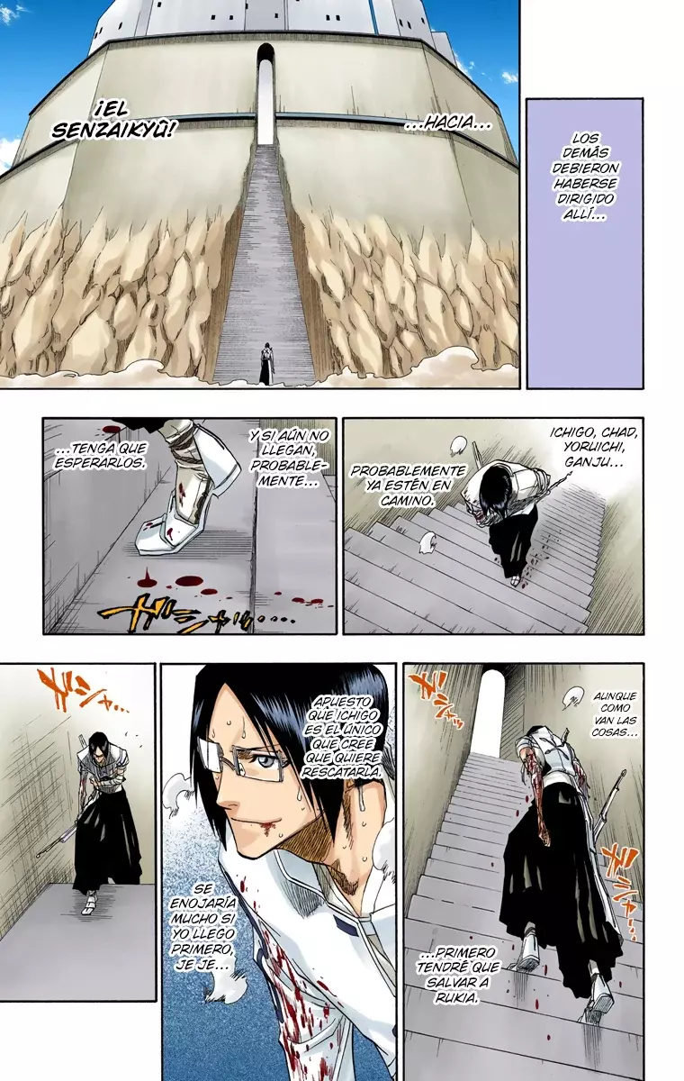 Bleach (Color) capítulo 126, página 14